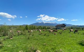 Teren Bran/ Predelut 10.663 mp. - Poză 1