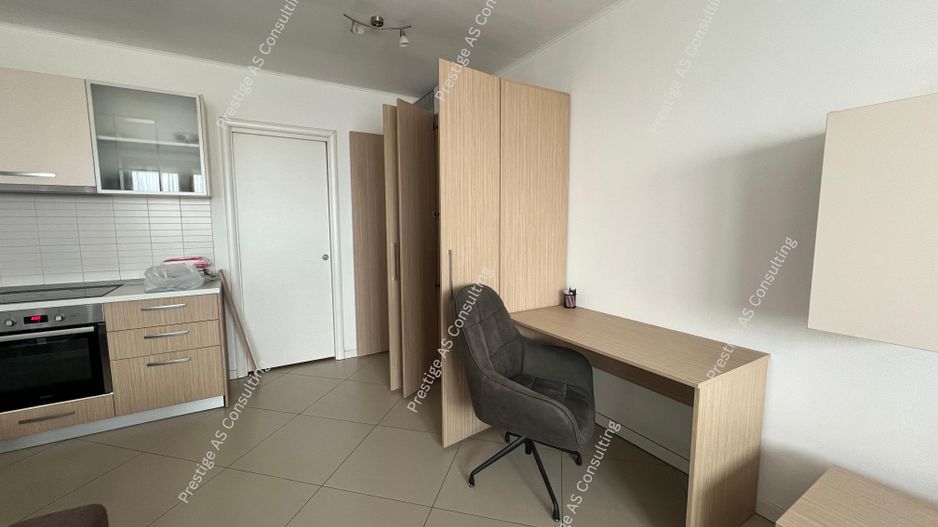 Apartament 1 Camera 38mputili | Fructus Plaza - Poză 7