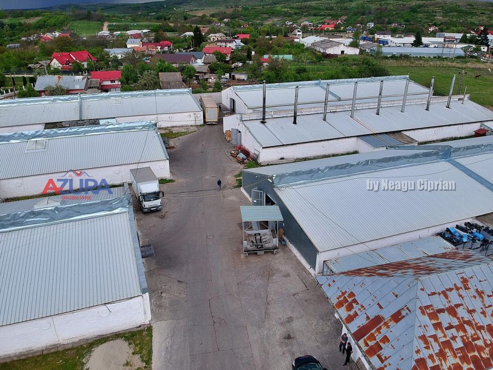 COMISION 0% - HALE Calinesti Arges - Poză 81