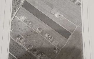 Vând teren intravilan 10000 m cu intrare de pe DJ 248A între Valea Ursului si Proselnici - Poză 1