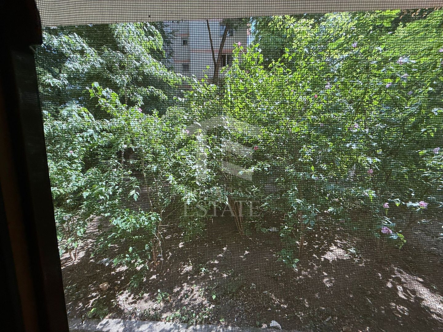 Apartament 2 Camere Teiul Doamnei Lacul Tei - Poză 7
