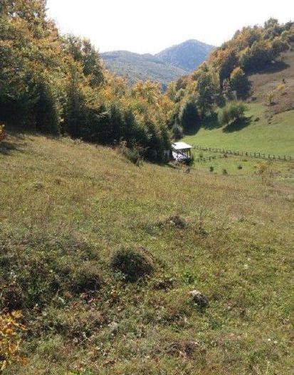 Teren Dambovicioara Arges - Poză 2