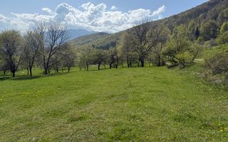 Terenuri Bran - Predelut  Priveliște către Bucegi și Postăvaru - Poză 1