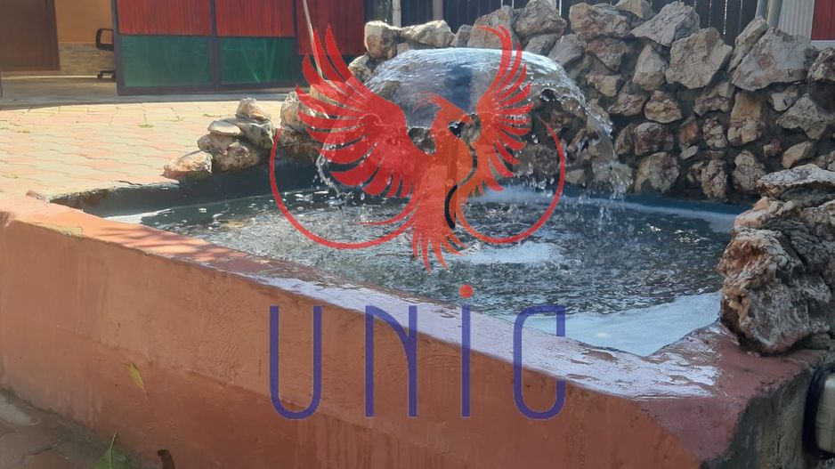 Vila - zona Dedeman - Poză 6