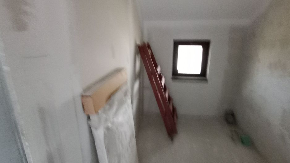 Sanandrei Casa Individuala - Poză 12