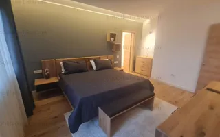 Vila Lux ,CRISTIAN, P+M, 4 camere,teren 567 mp, - Poză 40