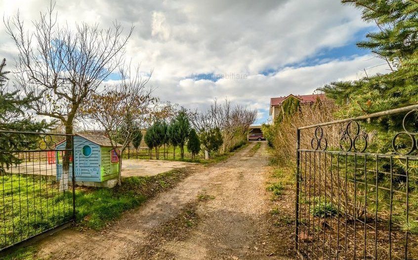 Vanzare ferma agricola Negru Voda - Constanta cu 240 hectare teren si utilaje - Poză 7