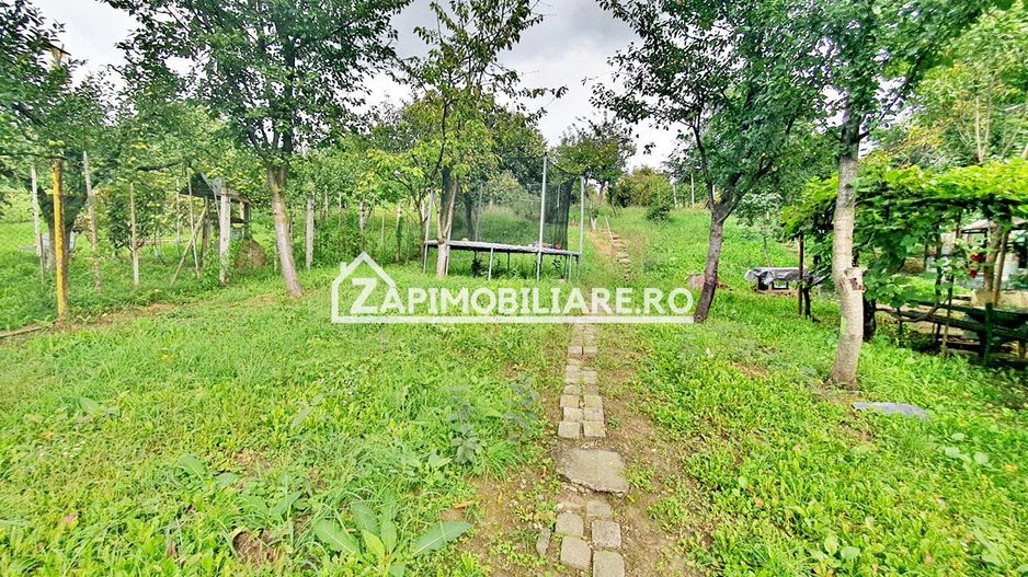 Teren 3.412 mp,zona Belvedere 45 euro mp - Poză 5