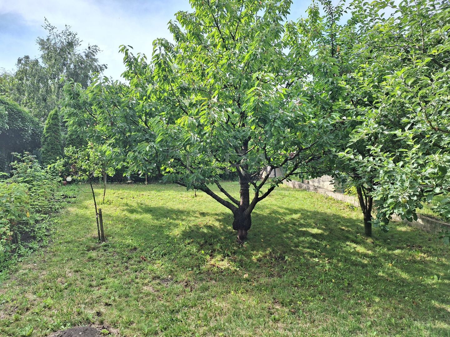 Vila deosebita de vanzare in cartierul Andrei Muresanu - Poză 25