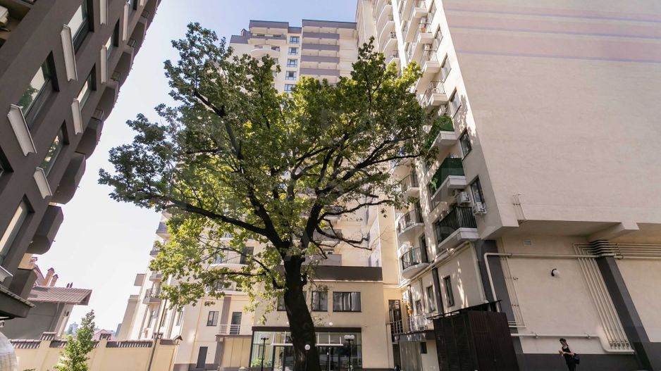 Chirie, apartament, 3 camere, bd. Renaşterii Naţionale, Rîşcani - Poză 8
