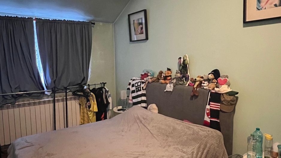 Vila Damaroaia - langa lacul Grivita - Poză 8