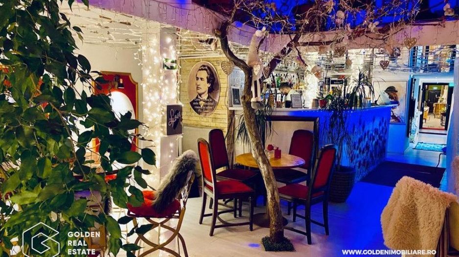 Afacerea mult visata, la cheie-oportunitate unica - Poză 6