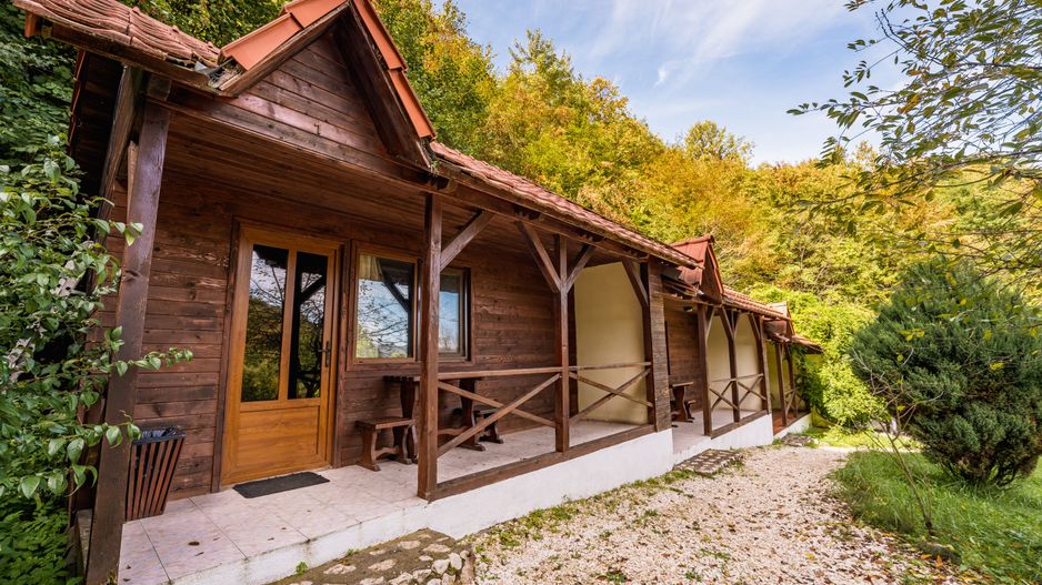 Domeniu în satul Căprioara - Poză 3