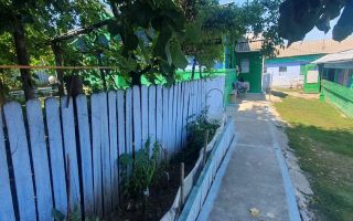 Casă de tip vechi în Braești, Târgu Frumos – 844 mp teren, acte în regulă, parțial mobilată - Poză 4