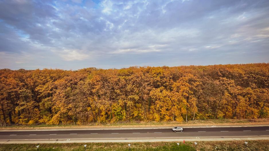 Adora Forest | 2.5 camere | Terasa superba 19 mp | 2 locuri parcare - Poză 2