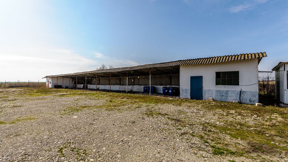 Teren intravilan cu potential multiplu in Horia - Poză 4