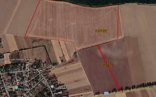 Teren intravilan 50,5 ha – Moara Vlăsiei - Poză 2