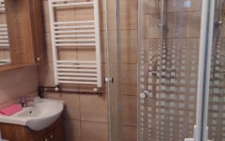 Garsoniera zona Buziasului etaj 1 - Poză 5