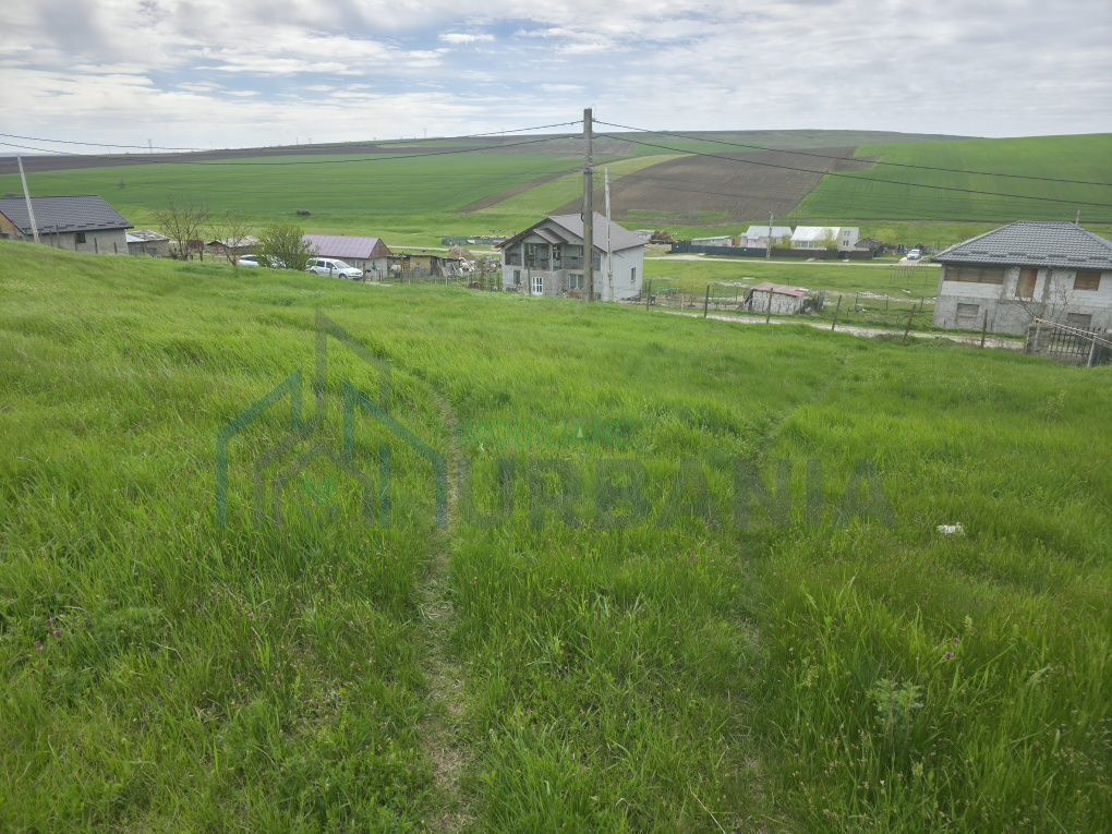 Teren de vânzare în Bogonos, Iași – 6.500 mp cu utilități - Poză 5