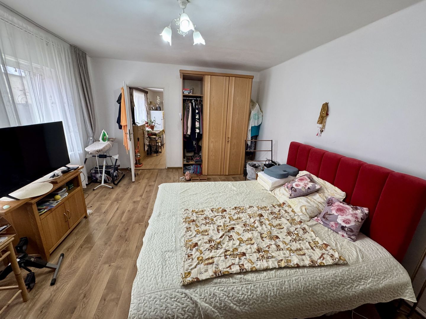 Casa individuala in Arpasu de Sus, teren mare, partial renovata - Poză 3