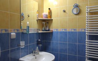 Zona linistita, posibilitate decontare-Sagului - Poză 10