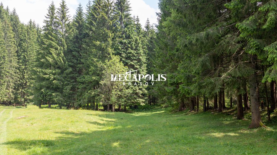 Pretabil Hotel,Pensiune,Case de Vacanta/Utilitati/PUZ - Poză 19