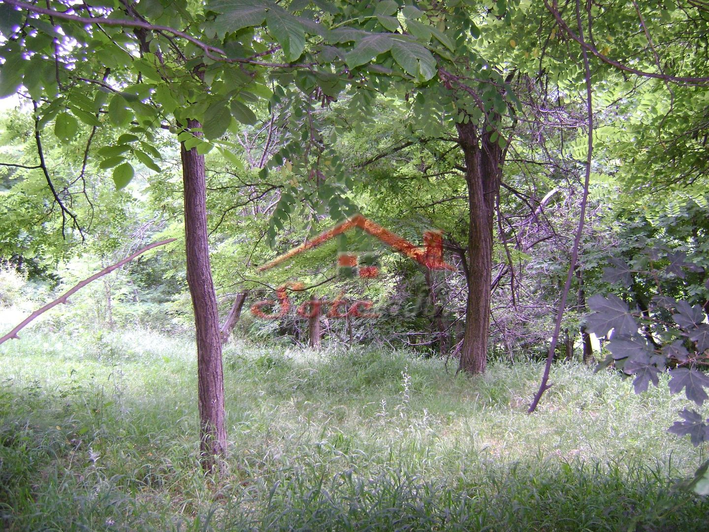 Teren de vanzare Cornu 3074 mp - Poză 5