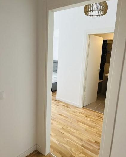 Închiriere Apartament 3 camere IIancu Nicolae - Poză 4