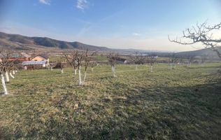 Teren 3100 mp-livada-ideal casa-Mititei