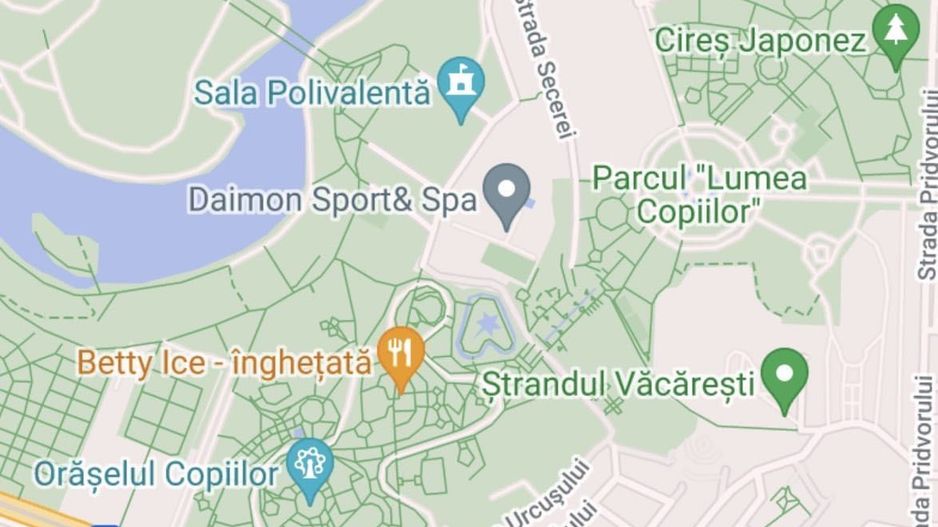 Casa cu teren zona Mărțișor langa parc Lumea Copiilor Brâncoveanu - Poză 7