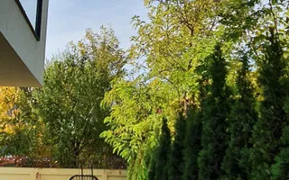 VILĂ PREMIUM | P+2E | PISCINĂ | 641 MP TEREN | SECTOR 1 - Poză 19