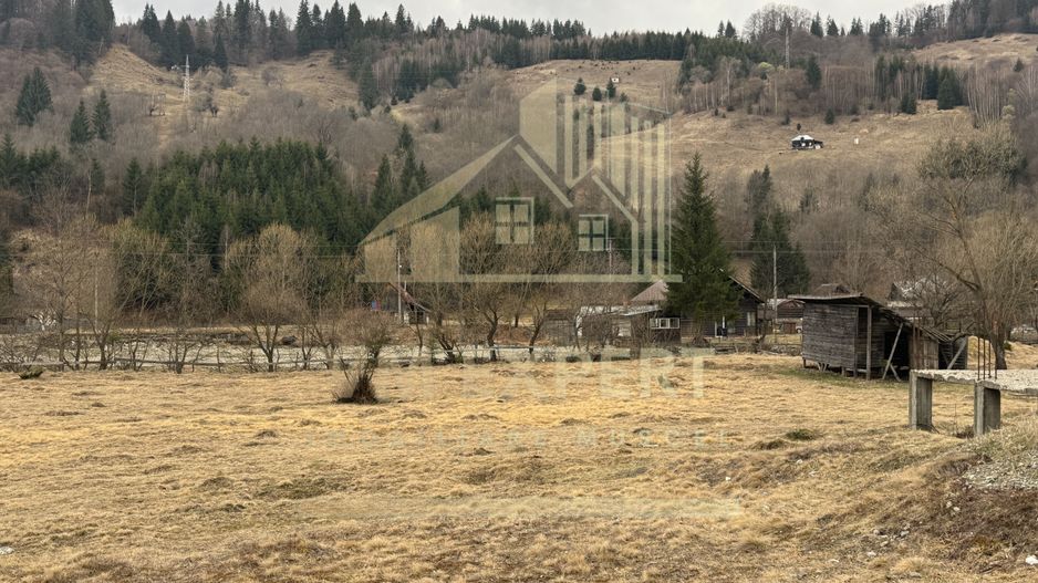 TEREN INTRAVILAN 500 MP SĂTIC- RUCĂR - Poză 21