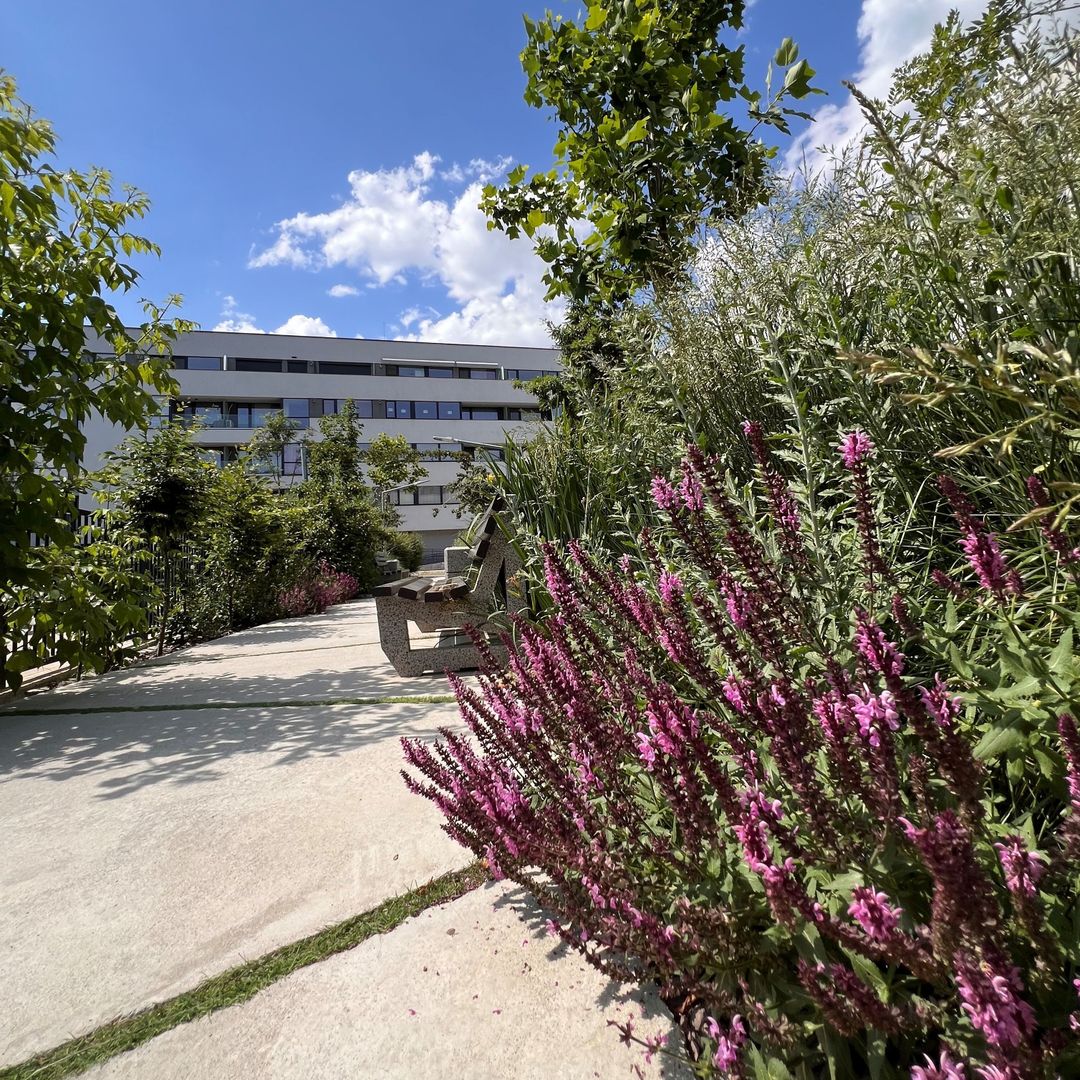 APARTAMENT 3 CAMERE | PROIECT NOU | PISCINA IN COMPLEX - Poză 13