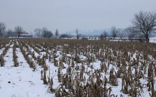Fermă agricola funcțională de vanzare I Vurpar - Poză 32