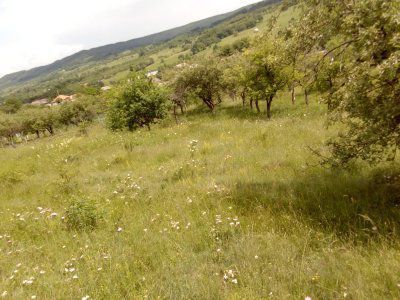 Teren intravilan si livada Draghici - Poză 4