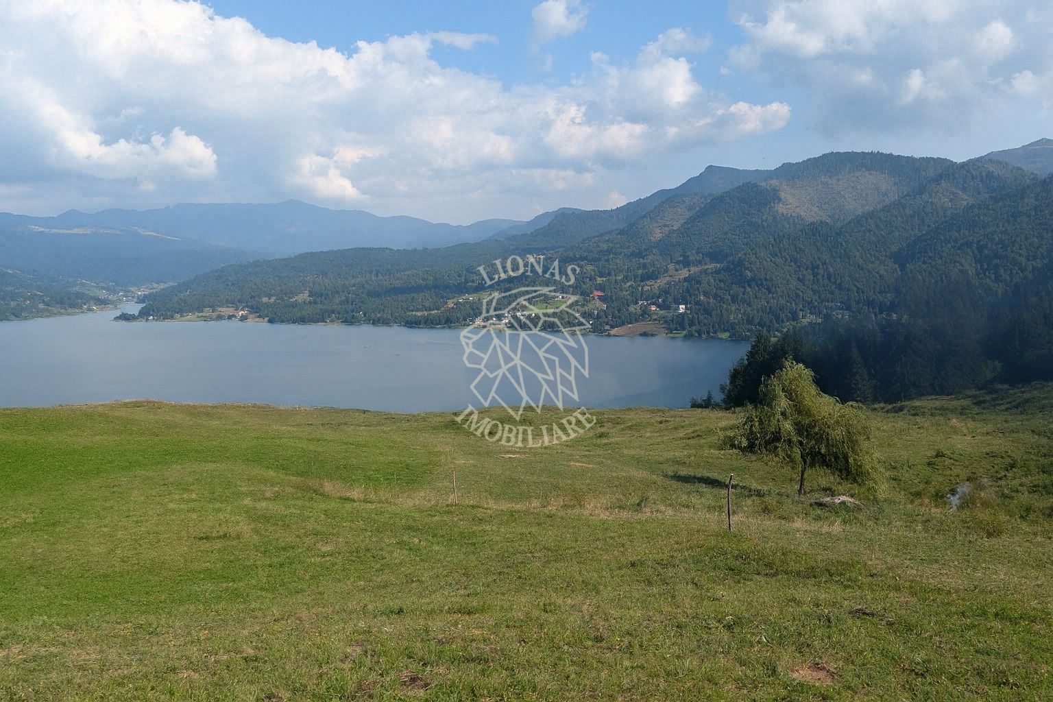 Teren intravilan 500 mp cu utilitati-ideal cabana, investitie-Colibita - Poză 1