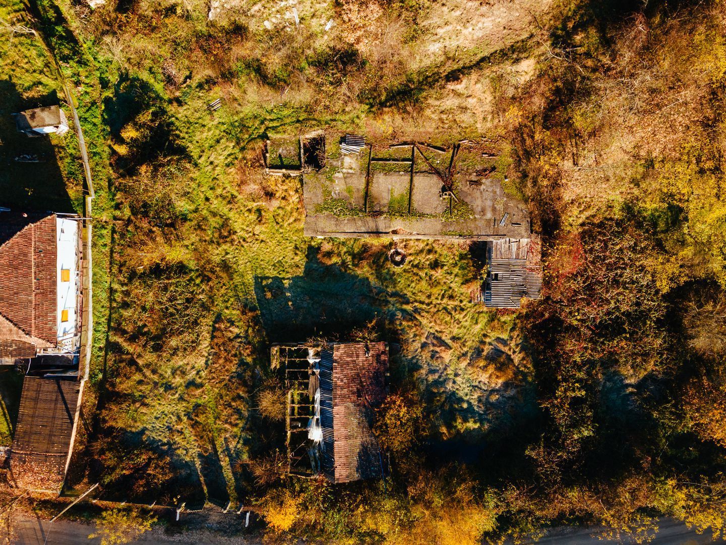 Teren intravilan Cladova - Poză 6