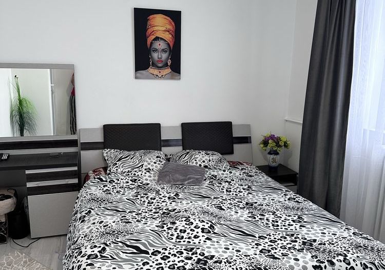 Apartament Stefan cel mare/Parcul Circului - Poză 2