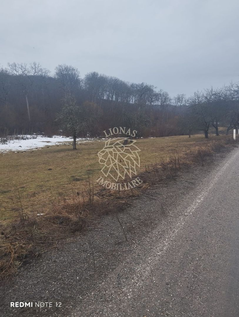 Parcele teren 500-1295 mp cu utilitati-Zona Drumul Tarpiului - Poză 4