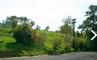 TEREN 2530 MP, INTRAVILAN, CAMPULUNG, 37000 EURO - Poză 4