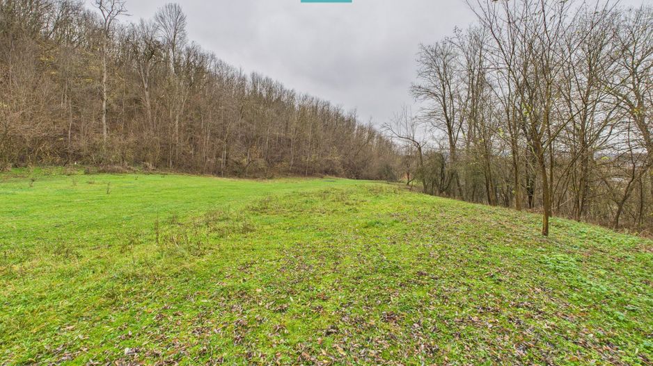 Casă cu teren de 24.679,73 mp, în Hălmagiu, Arad - Poză 23