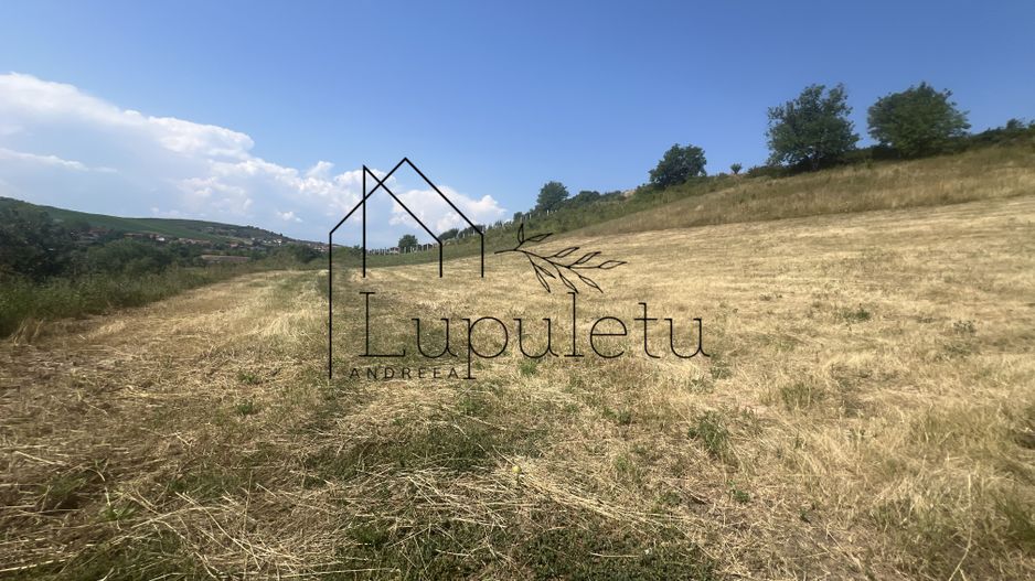 Teren Intravilan |5.000 MPU | Șura-Mare | - Poză 3