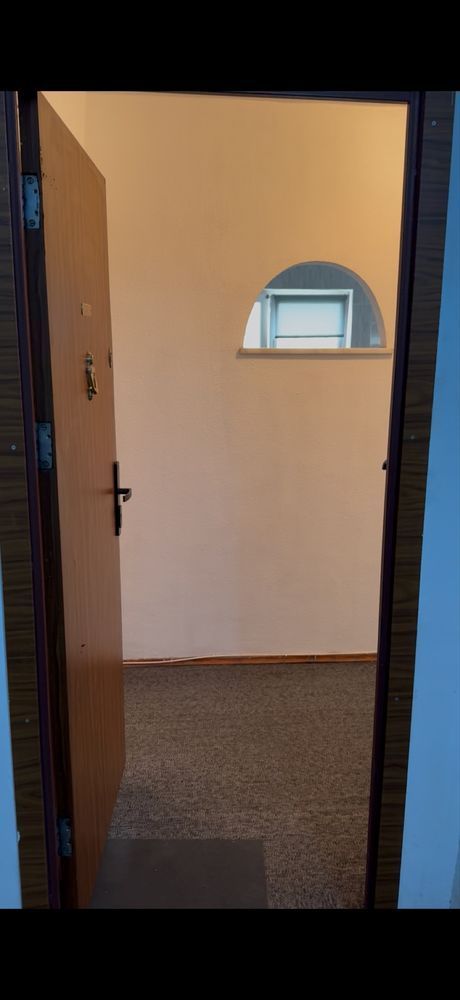 APARTAMENT LUMINOS ZONA TINERETULUI - Poză 4