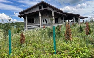 Teren de vânzare 750 mp cu căsuță de vacanță – Chicerea, Tomesti, județul Iași - Poză 4