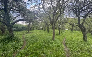 TEREN INTRAVILAN 7018 MP CAMPULUNG - Poză 21