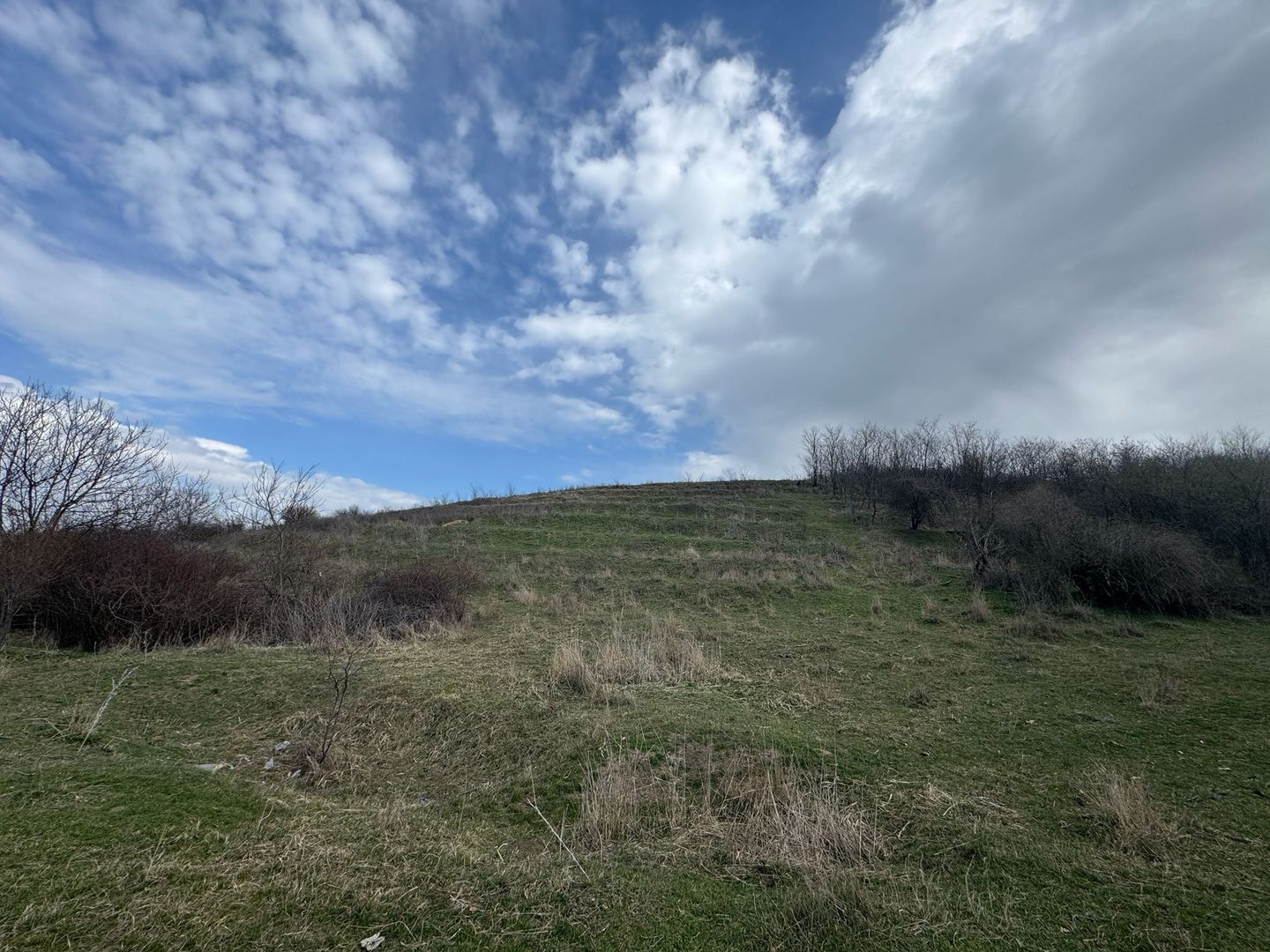 Teren 10262 mp extravilan Episcopia Oradea - Poză 3