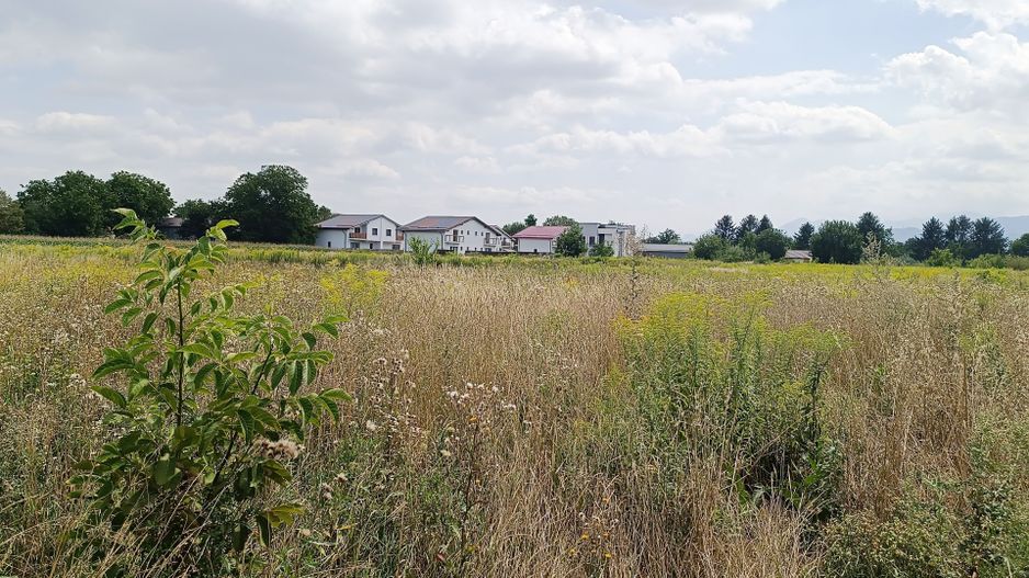 Teren intravilan in stupini,str.Bustenilor - Poză 2