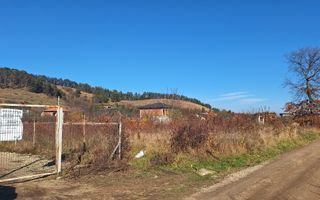 Teren intravilan Sanpetru livada PUZ 2564mp - Poză 5