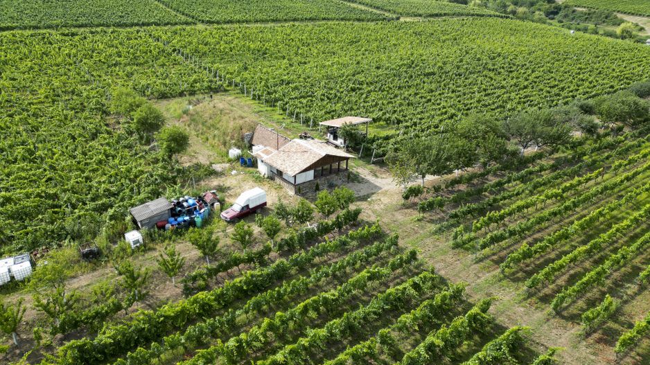 Vie Tradițională „Halta Lupilor” - Poză 26