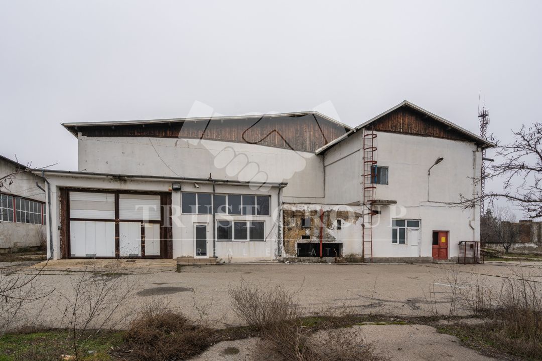 Teren 28.788m + Hale industriale + Sediu Firma - Poză 27